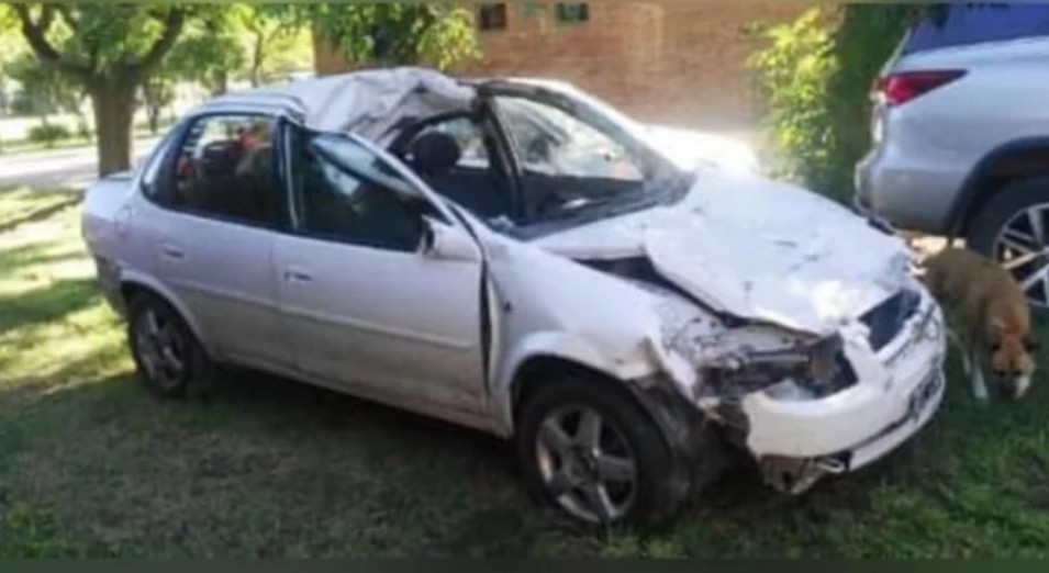 Murió una pareja al chocar contra un caballo que se cruzó en la autopista | Actualidad