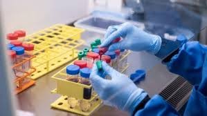 La Unsam aclaró que avanza con los estudios de fase 1 de una vacuna contra el coronavirus | Actualidad