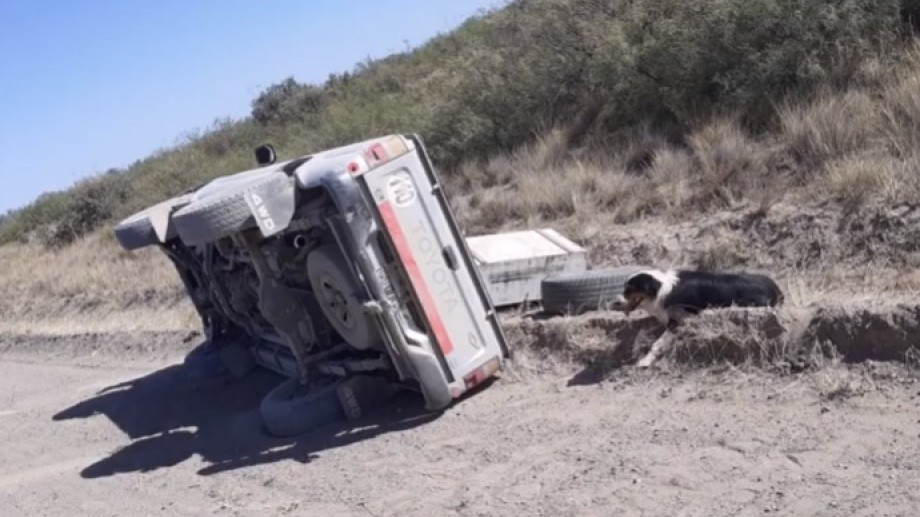 Hacía dedo en un camino rural y mató al hombre que lo levantó con su camioneta | Actualidad