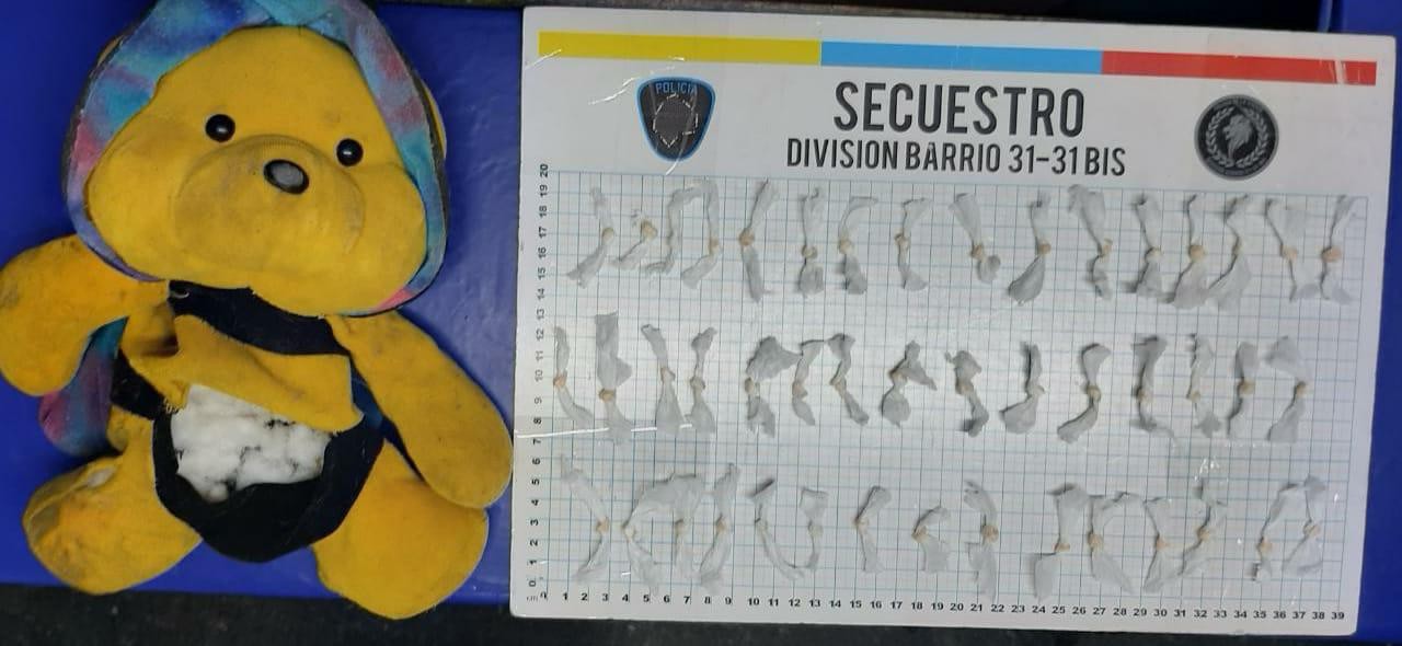 Una mujer intentó trasladar varias dosis de paco dentro de un oso de peluche | Actualidad