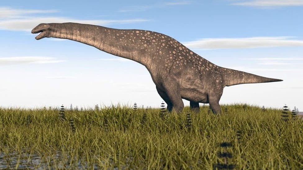 Anuncian que el titanosaurio más antiguo fue descubierto en la Patagonia | Actualidad