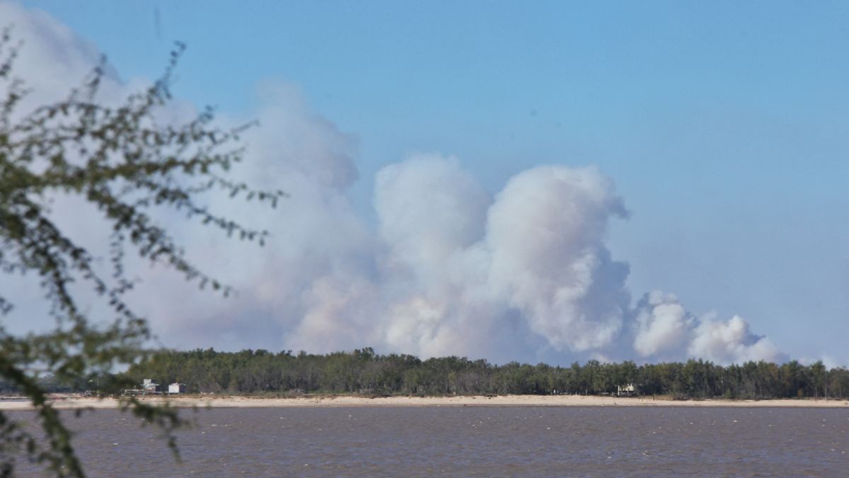 El fuego volvió a las islas del Paraná y también el humo a la ciudad de Rosario | Clima, naturaleza y medio ambiente