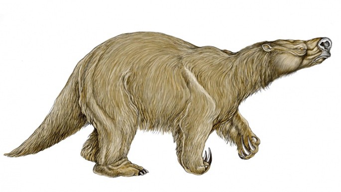 San Pedro: hallaron restos fósiles de una especie desconocida de perezoso | Actualidad