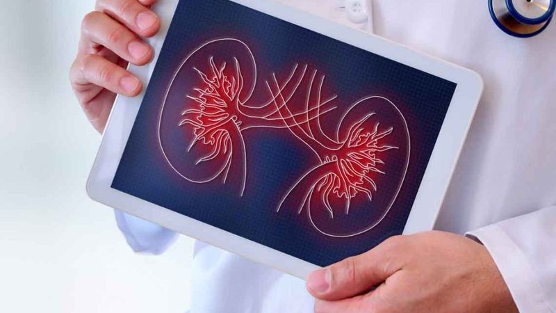 Día Mundial del Riñón: 1 de cada 8 argentinos padece enfermedades renales | Actualidad