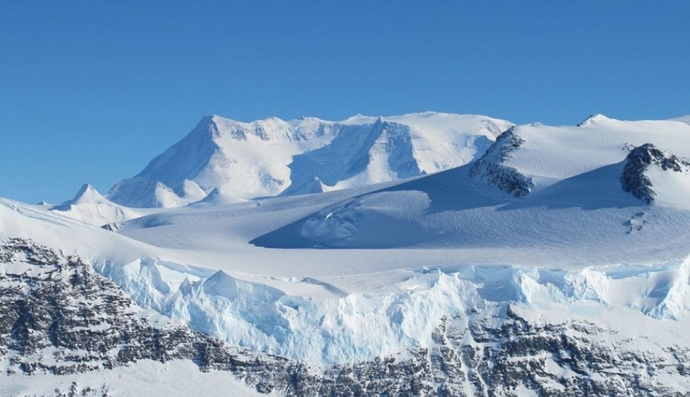 Hojas fosilizadas evidencian la existencia de bosques en la Antártida hace 58 millones de años | Actualidad