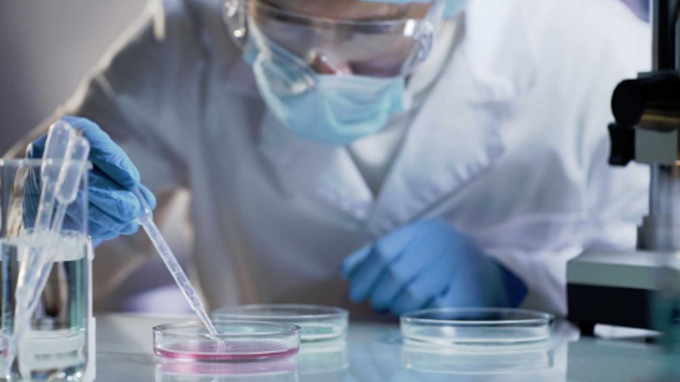 Descubren un mecanismo molecular que podría generar nuevas terapias para esclerosis múltiples | Actualidad