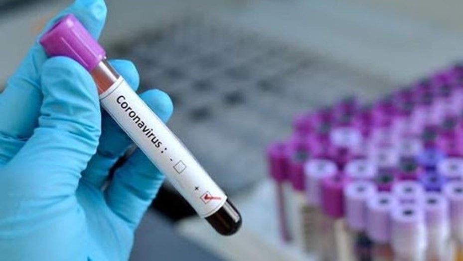 El Gobierno declarará el Covid-19 como enfermedad profesional | Actualidad