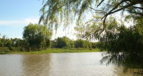 Buscan desesperadamente a un policía que cayó en un río | Actualidad