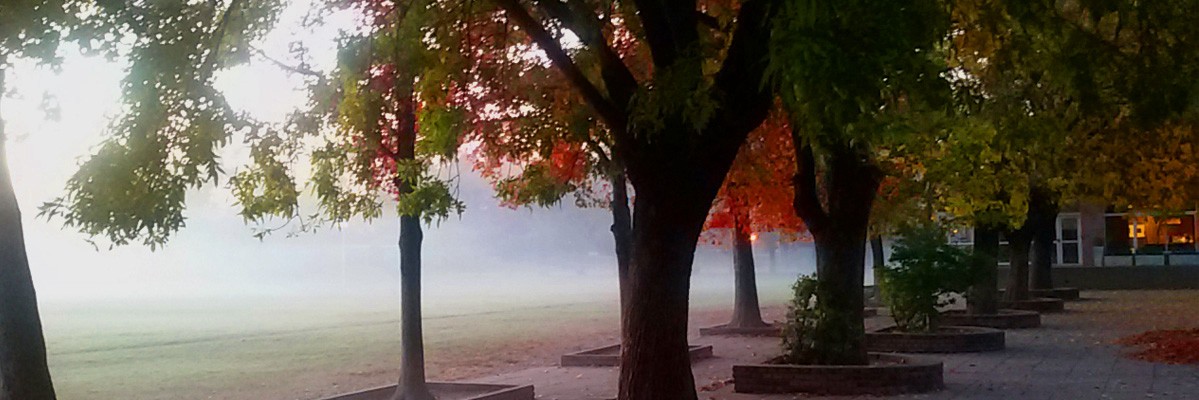 Irlanda quiere investigar los abusos en el colegio Cardenal Newman | Actualidad