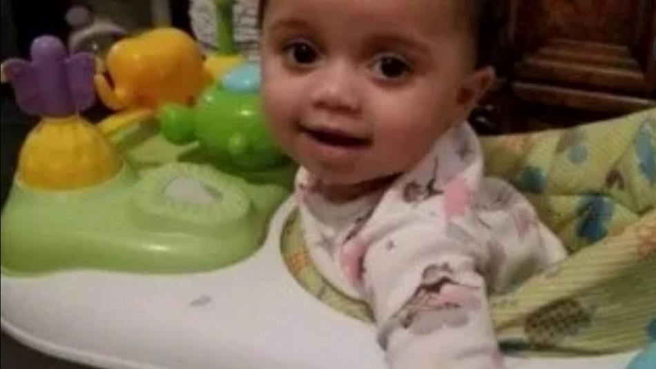 Un pitbull mató a un bebé de 1 año que se acercó "demasiado a su plato de comida" | Internacionales