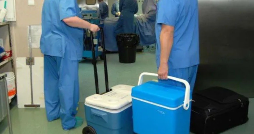 Hepatitis C ya no es impedimento para donar órganos o recibir un trasplante | Actualidad