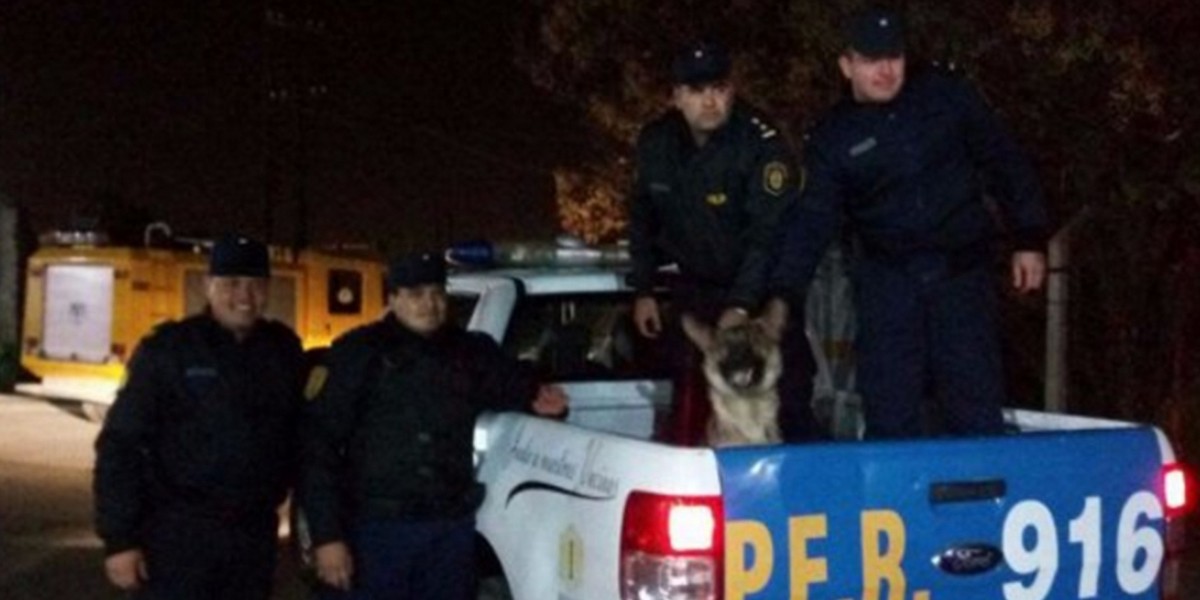 Recuperaron a Max, el perro bombero que había sido robado en Entre Ríos | Actualidad