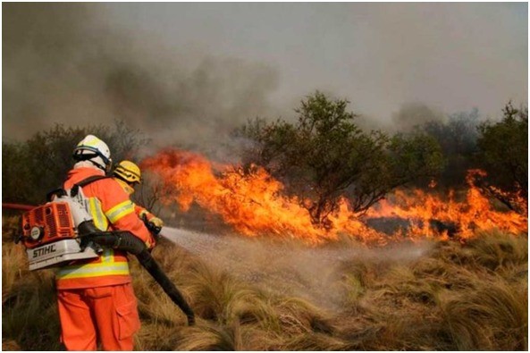 El presupuesto para manejo del fuego será este año siete veces más que lo ejecutado en el 2020 | Actualidad