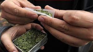 Nueva York aprobó el uso recreativo de la marihuana | Internacionales