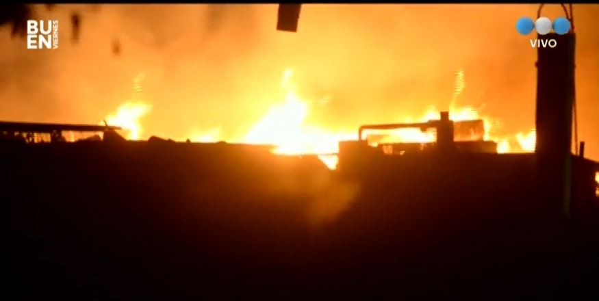 Una explosión de un tanque provocó un incendio en una papelera de Cipolletti | Actualidad