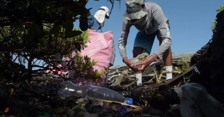 Voluntarios recolectan más de dos toneladas de basura en las costas de las islas Galápagos | Clima, naturaleza y medio ambiente