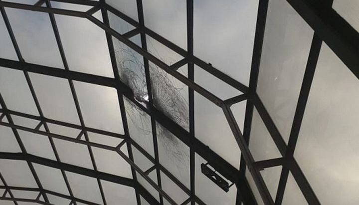 Apareció un empresario degollado en Jujuy: "Mi hermano ayudó a personas equivocadas" | Actualidad