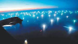 Presentan demanda ante la Corte Suprema para frenar "pesca ilegal y depredación" | Actualidad