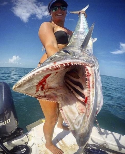 Indignación en redes sociales por mujer que mata a tiburones | Redes