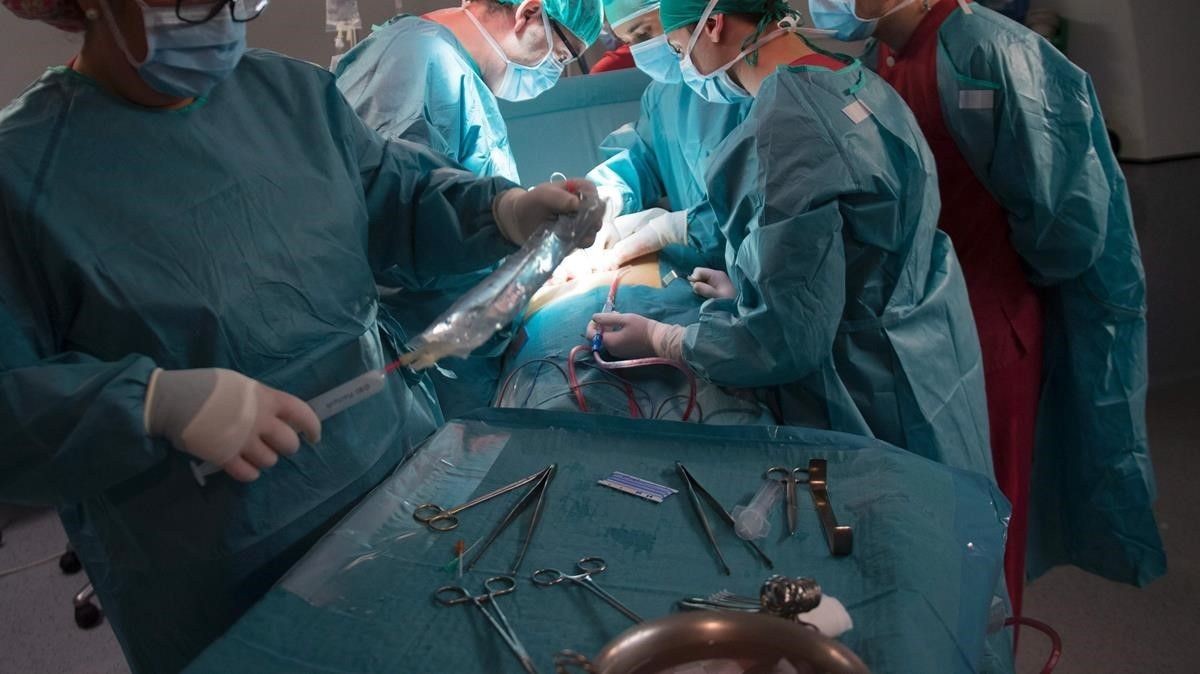 Realizaron en Japón el primer trasplante de pulmón a partir de donantes vivos para recuperar a una paciente de coronavirus | Internacionales