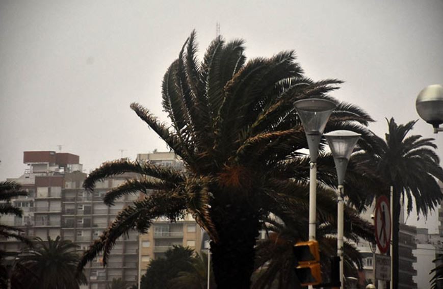 Alerta naranja por vientos que pueden superar los 90 km/h en la provincia de Buenos Aires | Actualidad