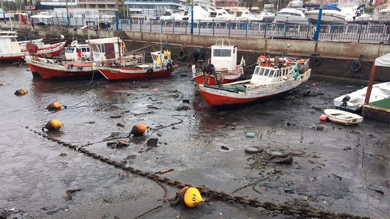 Fotos: bajó el mar en Punta del Este y así quedó el puerto | Actualidad