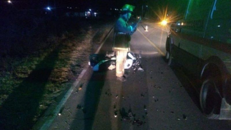 Murió un motociclista al chocar conta una vaca | Actualidad