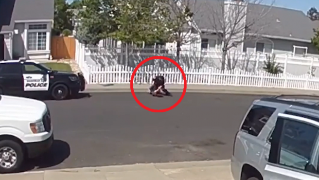 Video: el momento en que un policía golpea brutalmente a un chico con autismo | Internacionales