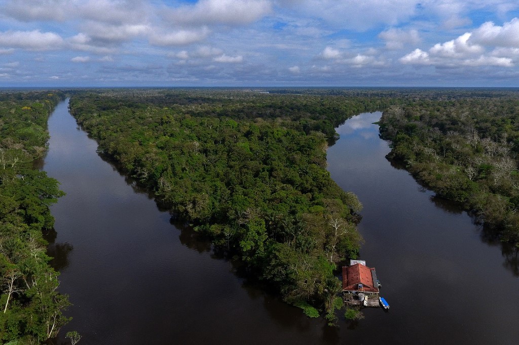 Inversión inédita: bosques de la Amazonia emitieron más carbono del que absorbieron en la última década | Internacionales