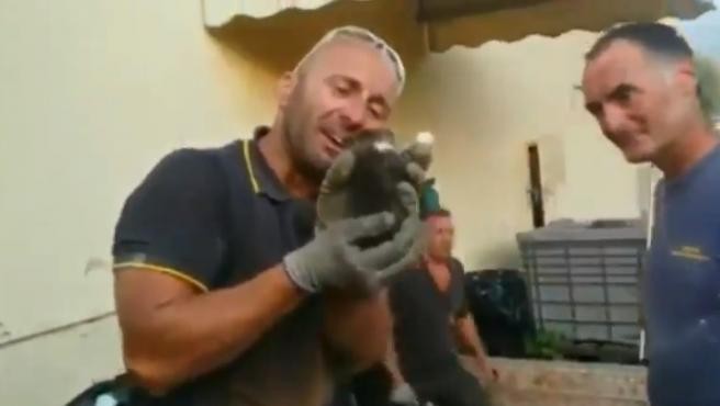 Video: el llanto de un bombero tras rescatar a un gatito que estaba atrapado | Internacionales