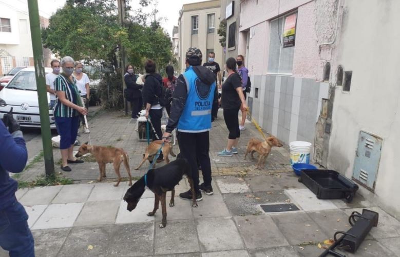 Rescatan 16 perros que eran maltratados en Flores: la dueña atacó a los policías | Actualidad