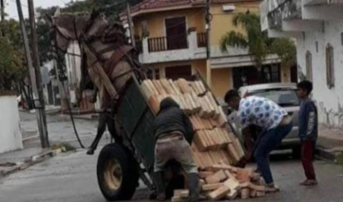 Maltrato animal: el caballo que quedó suspendido en el aire por el peso del carro | Actualidad