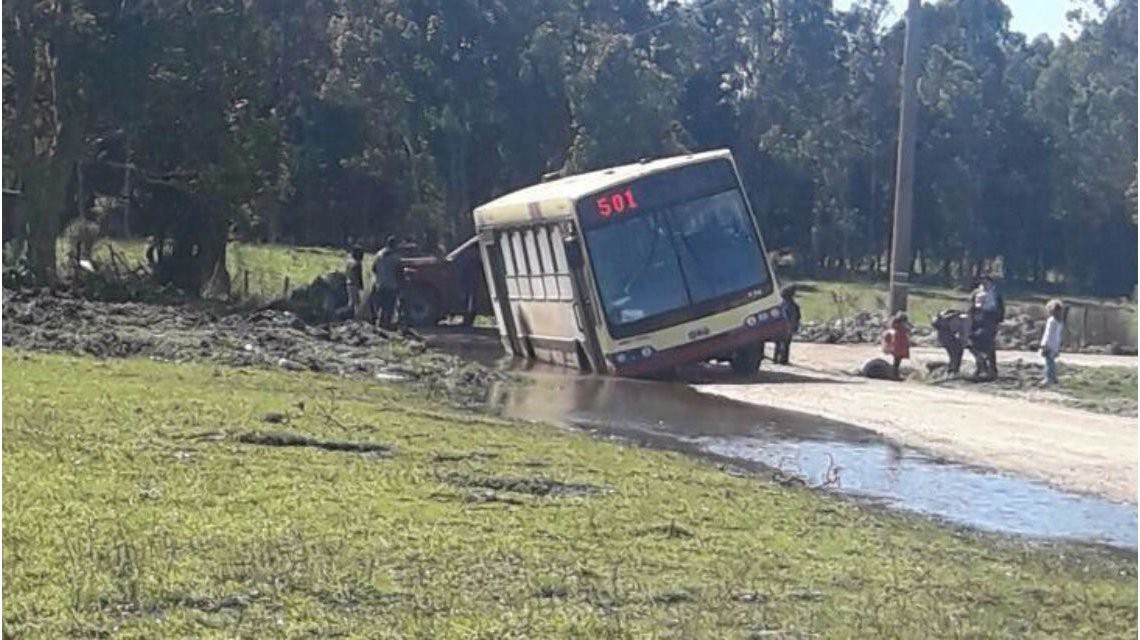 Mar del Plata: un colectivo se encajó en el barro y los pasajeros salieron por las ventanillas | Actualidad