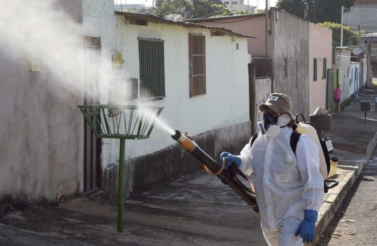 Alerta en Salta por la muerte de una joven que murió al parecer por una variedad más grave de dengue | Actualidad