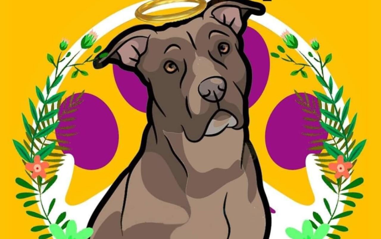 Piden justicia por "Luna", una perrita que fue enterrada viva por su dueña | Internacionales