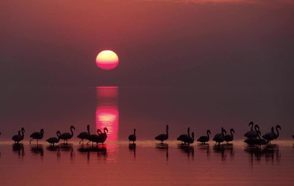 La laguna Mar Chiquita recibe el máximo estatus de conservación ambiental | Clima, naturaleza y medio ambiente