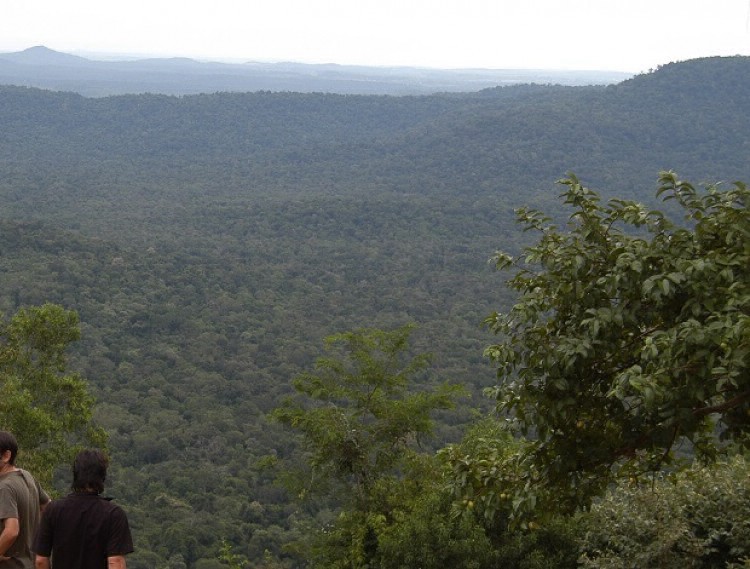 Investigan la muerte de una joven que cayó desde un mirador en Misiones | Actualidad