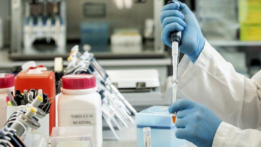 Confirman la capacidad neutralizante del suero hiperinmune contra las variantes Manaos y Británica | Actualidad