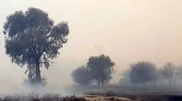 Incendios en San Luis: controlaron siete focos y la lluvia generó alivio | Actualidad