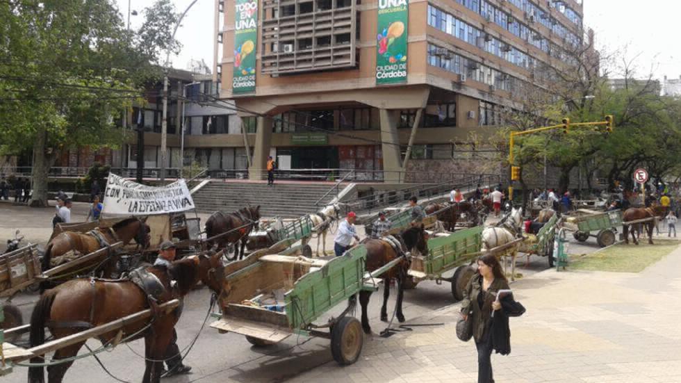 Carreros, cartoneros y recicladores urbanos rechazan el cambio de caballos por motos | Actualidad