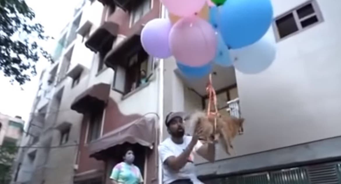 Video: un youtuber hizo volar a un pequeño perro atado a globos de hidrógeno | Internacionales