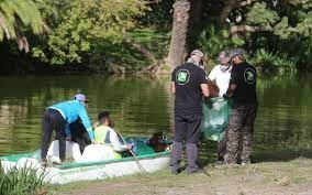 Extraen 150 kilos de residuos al limpiar tradicional Lago del Bosque de la ciudad de La Plata | Clima, naturaleza y medio ambiente