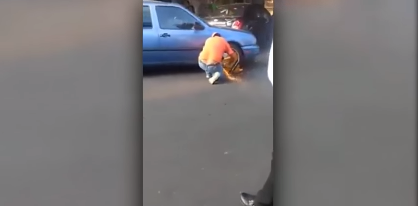 Video: le pusieron el cepo y lo sacó con una moladora | Actualidad