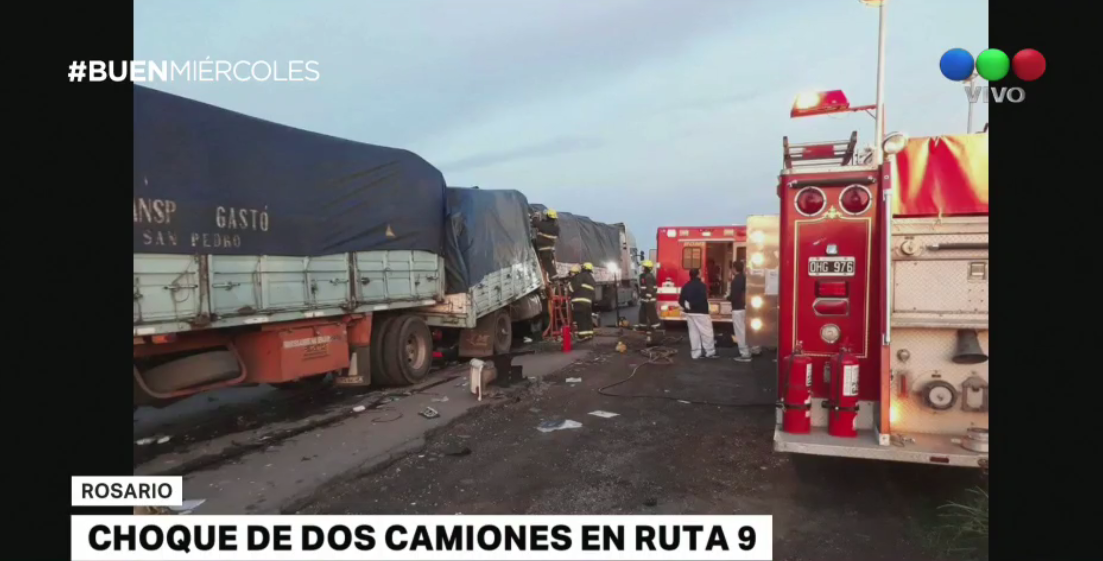 Konna, el perro rastreador que encontró a Joaquín Santos en la montaña de Bariloche | Actualidad