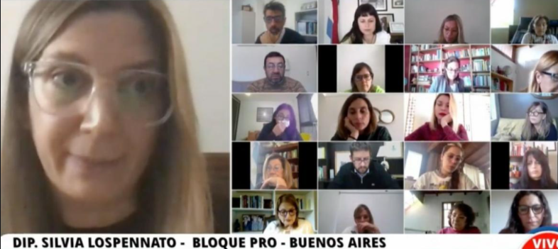 Avanza en Diputados un proyecto que incorpora la perspectiva de género a la legítima defensa | Política