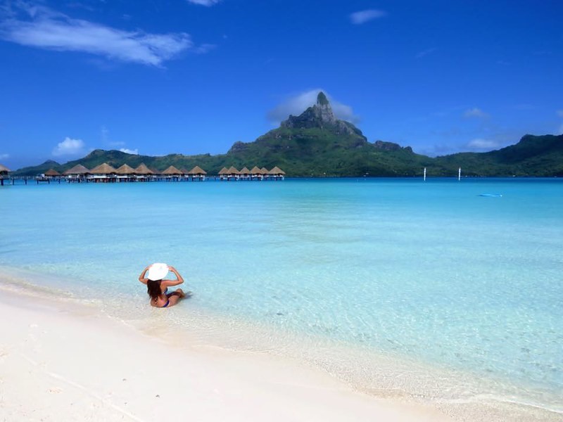 ¿Querés viajar por el mundo y vivir gratis durante un año?: Conocé los pasos para inscribirte | Actualidad