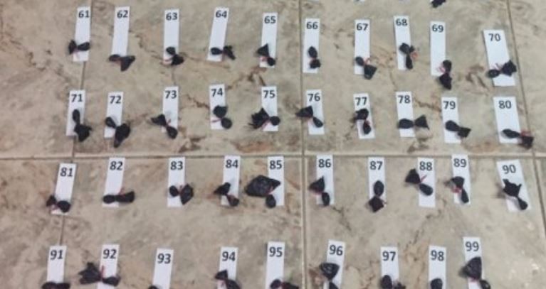 Santa Fe: cayó una banda narco dirigida desde la cárcel de Coronda | Actualidad