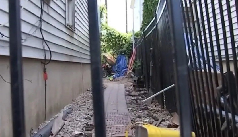 Investigan la caída desde la ventana al patio de un nene de 3 años: lo mataron los perros de la familia | Internacionales