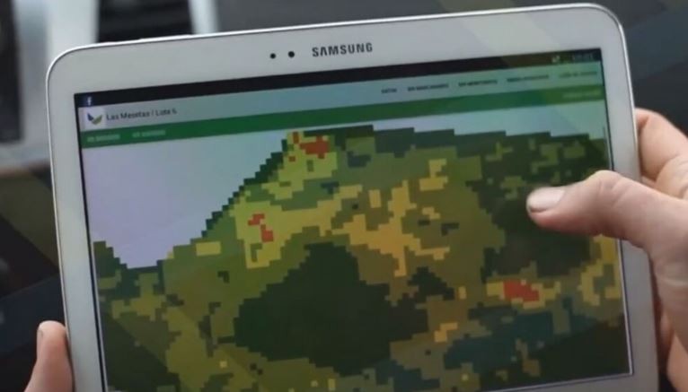 Una plataforma digital puede medir cuánto contaminamos y cómo compensarlo | Clima, naturaleza y medio ambiente