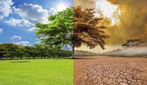 Asesores de la ONU sobre el cambio climático: "Lo peor está por llegar" | Clima, naturaleza y medio ambiente